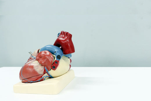 Sleep Quality and Cardiovascular Health Links