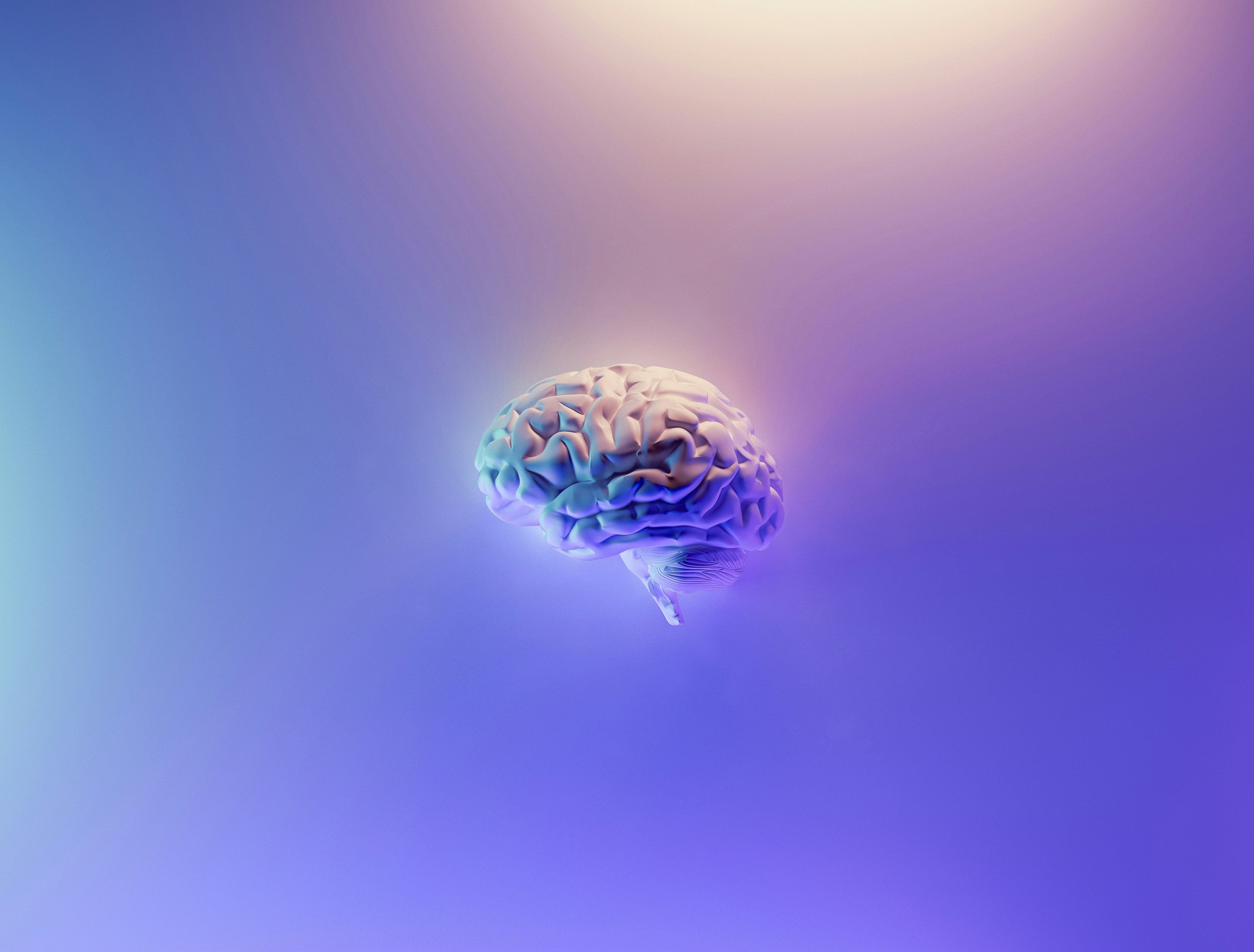 Brain Detoxification During Sleep