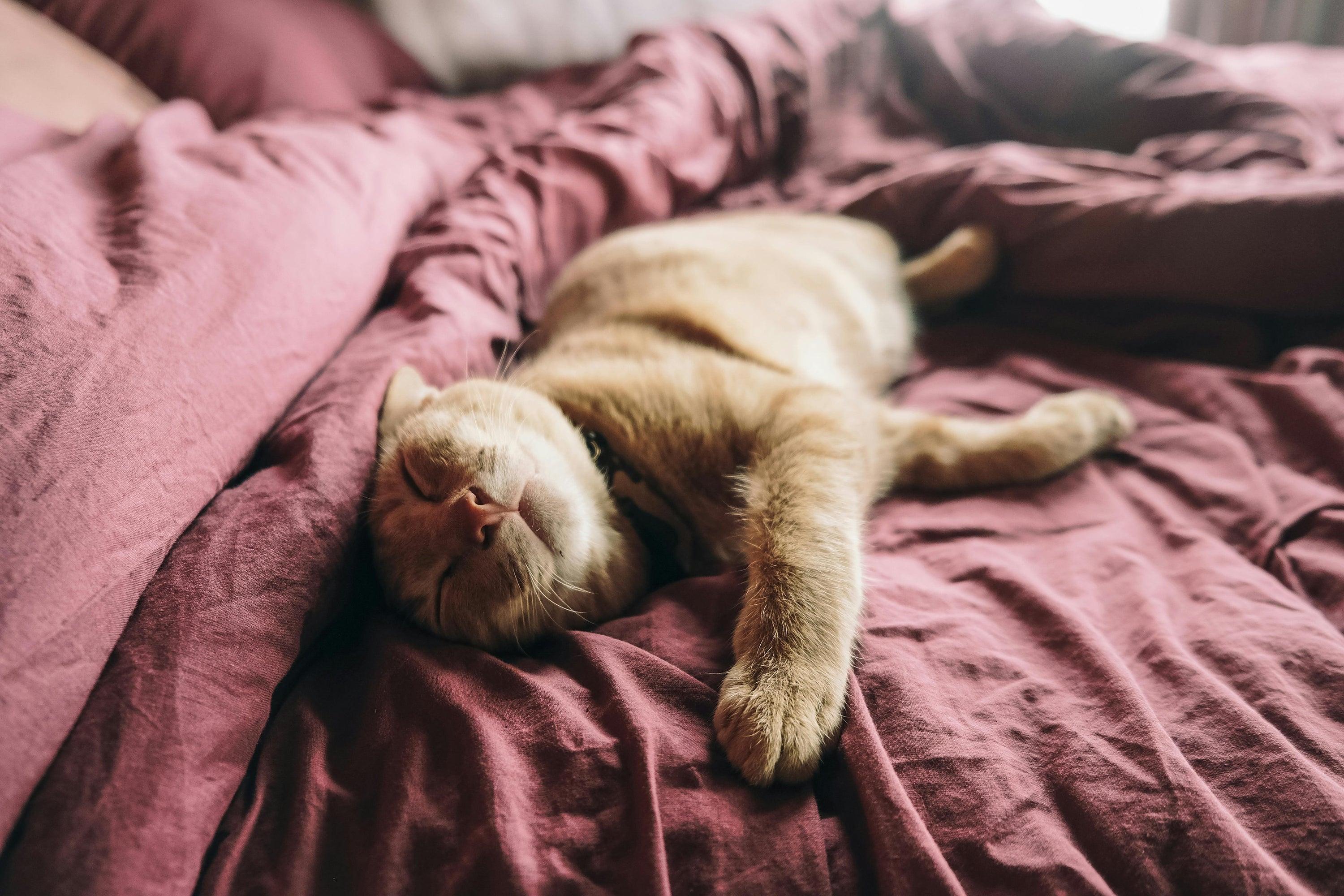 Ultimate Guide to Choosing the Best Bedding for Hot Sleepers