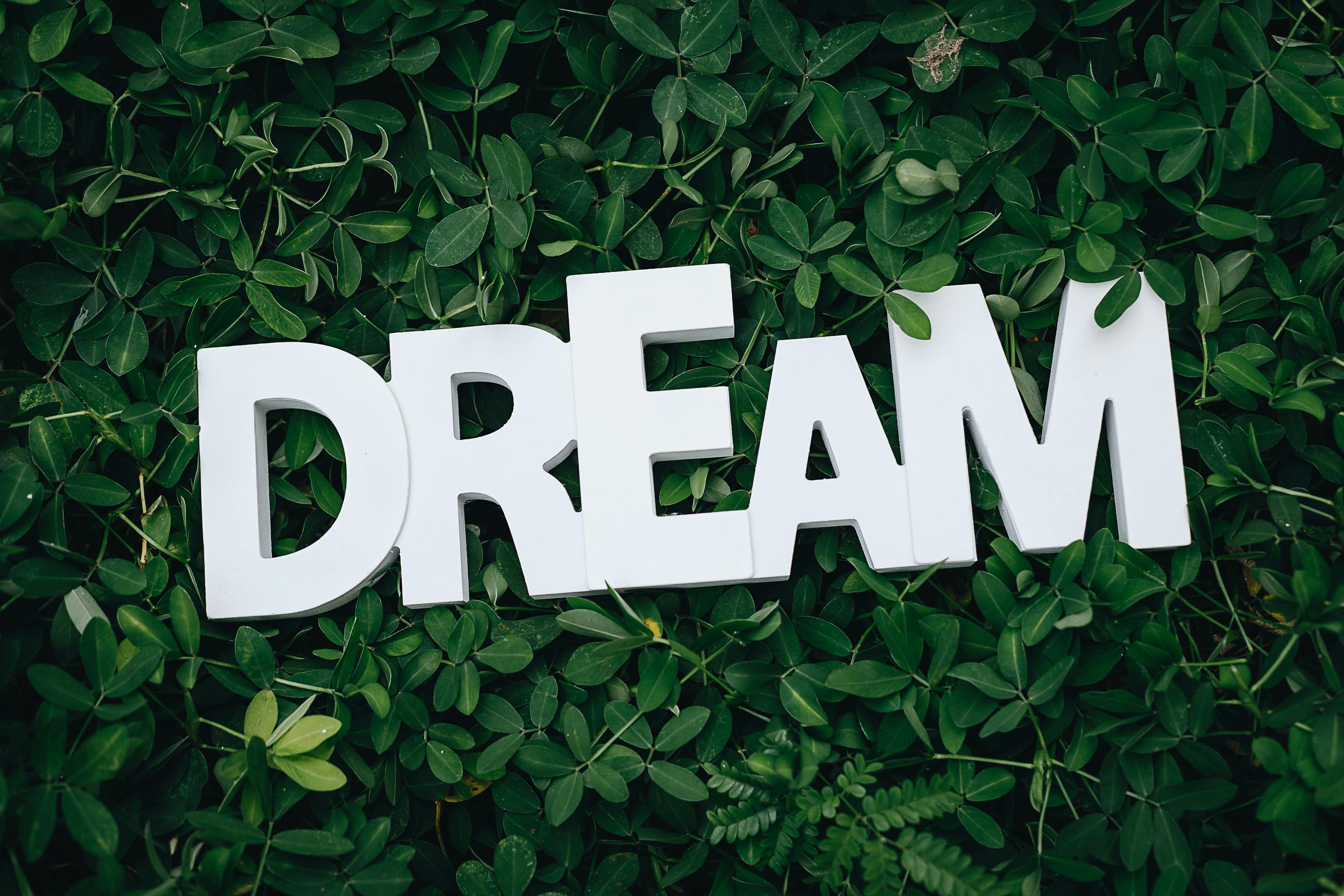 The Science Behind Dreams: What Happens While You Sleep