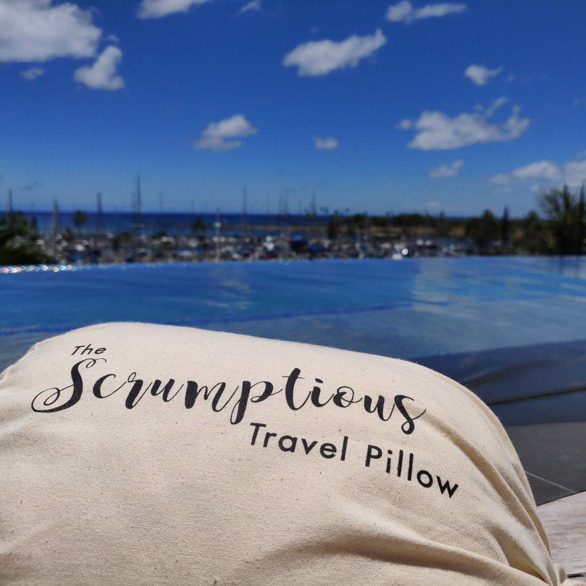 The Scrumptious Travel Pillow