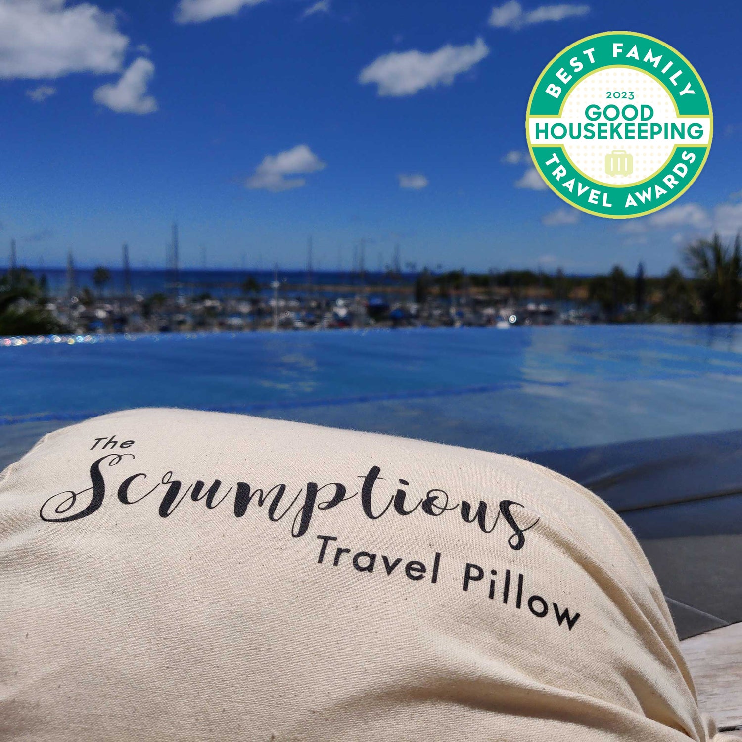 The Scrumptious Travel Pillow