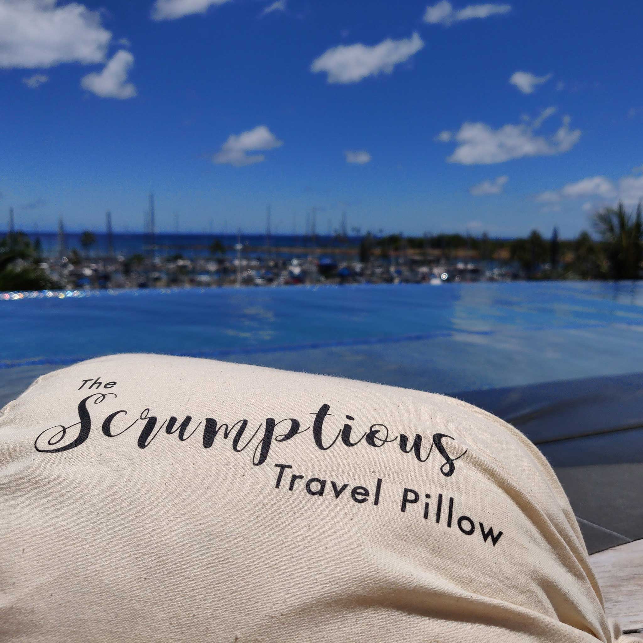 The Scrumptious Travel Pillow